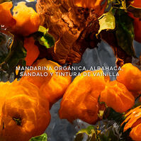 Aqua Allegoria Mandarine Basilic Forte 200ml-206764 Aqua Allegoria Mandarine Basilic Forte 200ml-206764 3
